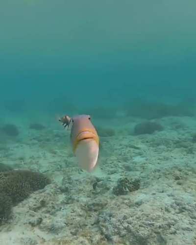 🔥 underwater