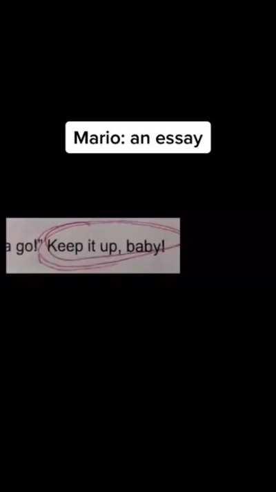 Mario Essay