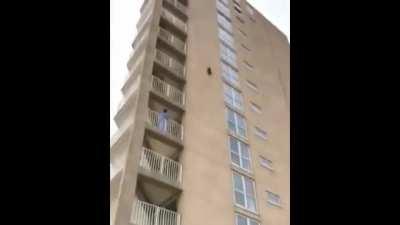 Cat jumps of 10 story building.... and survives?