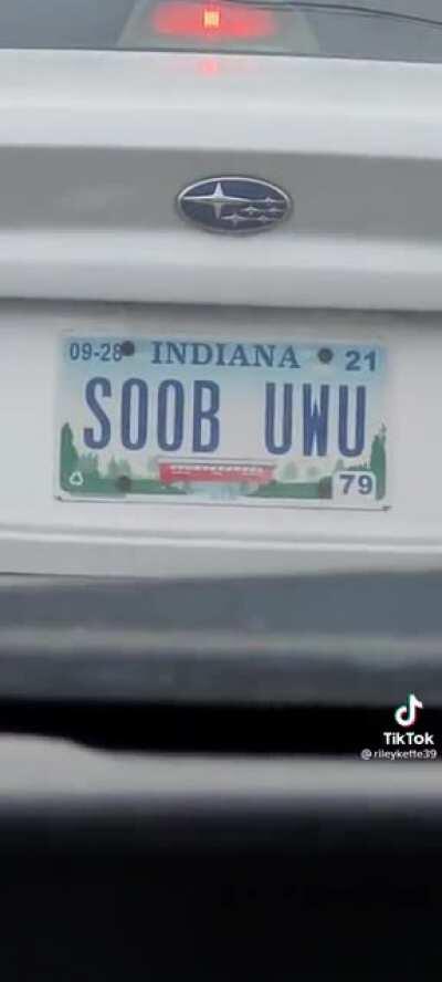 Subaru became Soob Uwu