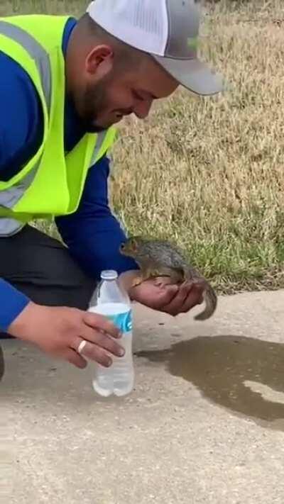 Giving a thirsty squirrel some water