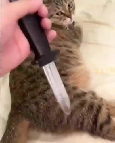 cAt ShAnKeD bY PsYcHoPaThIc OwNeR