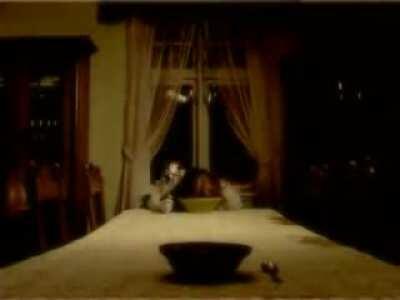 The infamous 1 minute long short film “Dining Room or There is Nothing” is a masterpiece of horror imo, for being able to be so damn creepy with such a short amount of time to do it in: