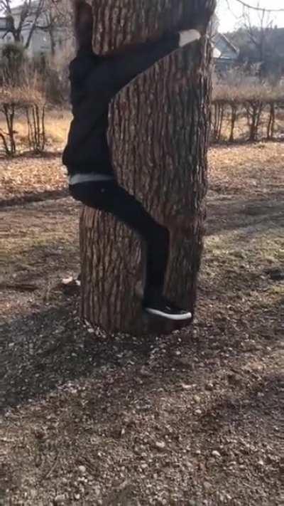 This man fitting into this tree.