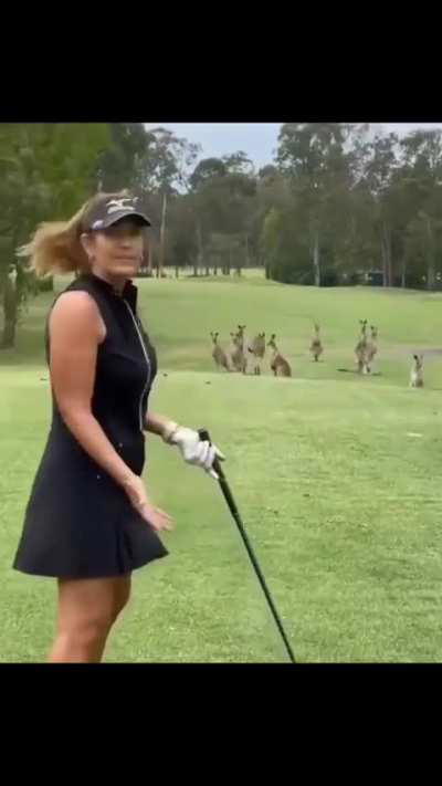 🔥 A Horde Of Kangaroos Visit The Golf Course