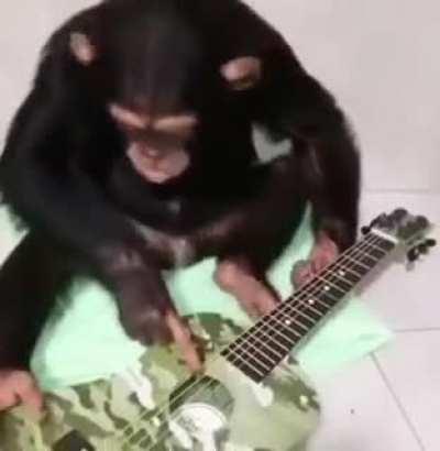 Monke music