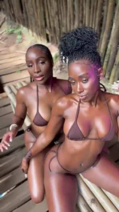 Bria &amp;amp; friend ... @sandralembeck [video]