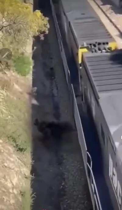 stranger saves dog from train 😱