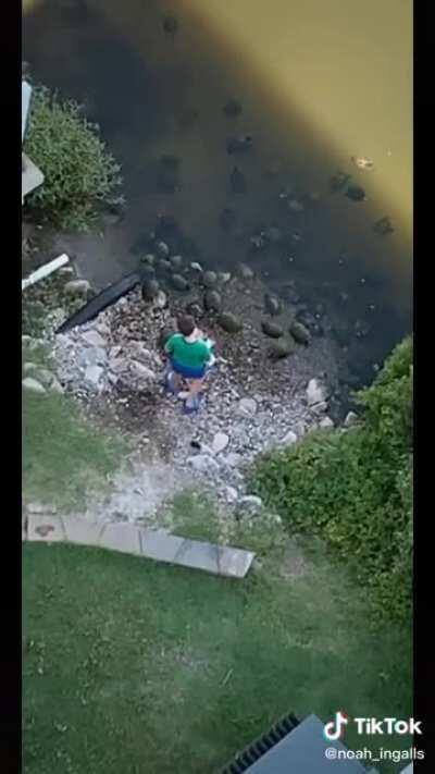 I like turtles