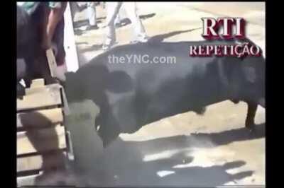 Man stripped naked by Bull