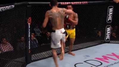 Tony Ferguson’s UFC 12 fight win streak memories.