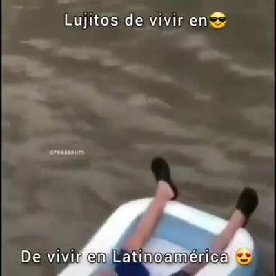 Lujitos