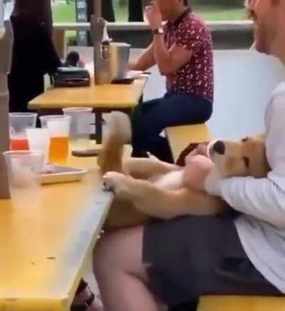 EvIl HuMaN tIcKlEs ThE pOoR dOgGo To DeAtH