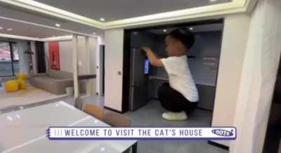 This guy built an elaborate mini penthouse for his cat