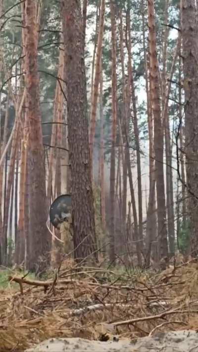 Russian soldier films how fires set by partisans is cooking off all of the ammunition dumps on their positions. Extreme heat is making the fires easier to start and spread, which is a nightmare for the russians