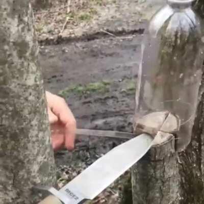 Making rope from plastic bottle