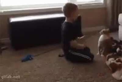 WCGW if I mess with the wrong cat?