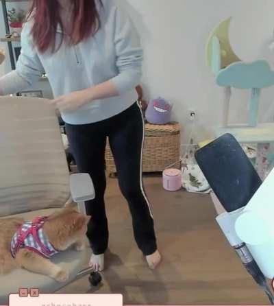 Janet moving her chair - December 2023