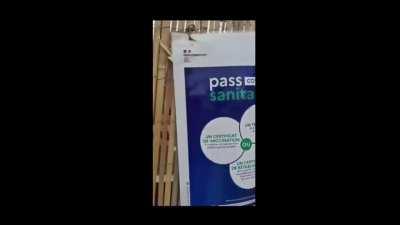 France - Woman shows a poster of a covid19 Vaccine Green Pass as introduced in July 2021 by the government. However on the edge of the poster, it states January 2020 as the print date. She wonders how Green Pass posters were printed earlier in January 202