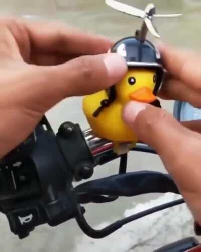 Rubber Duckie and Helmet