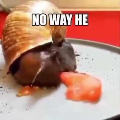 He is going to eat the whole thing caw caw