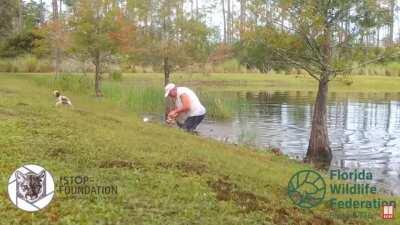 Florida man saves dog from alligator and doesn’t even drop his cigar.