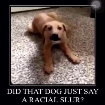 Omg n-word dog cancelled 😡😡😡😡😶😶😶😵😵😵