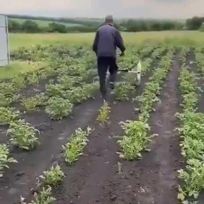 Guy makes a device to remove colorado beetles from his crops