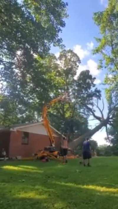 HMB as I use a Genie Lift to knock over a tree.