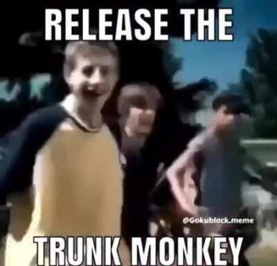 Can't run from the trunk monkey!