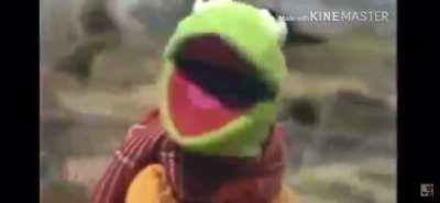 Kermit dies in a tragic bike accident