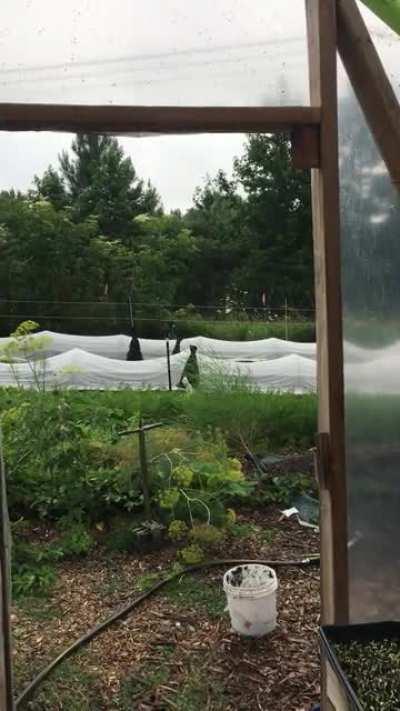 Gentle summer rain from inside the greenhouse