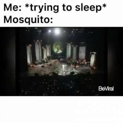 Mosquito