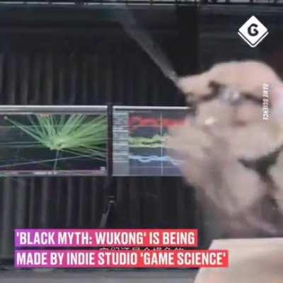 Cats doing motion capture for black myth