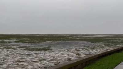 Water level at the park from hurricane Ian