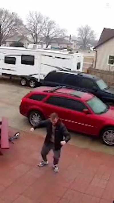 Good boy helps guy navigate icy driveway