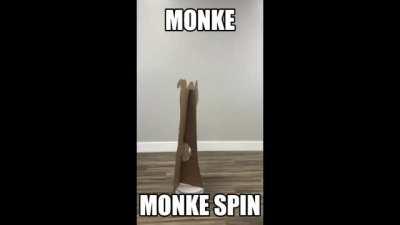 monke do spbin 🐒🙈😃 🙈 🙉