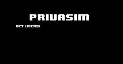 Privasim, short for privacy simulator! still in early stages. Hope you like it! :D