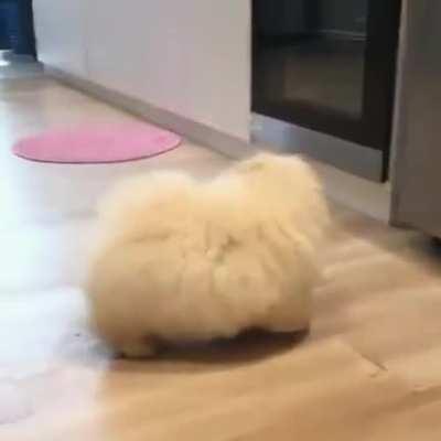 This fluffy potato checking the oven