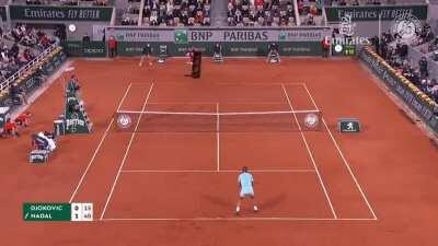 Le tennis de table révélé