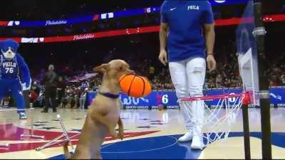 Gotta love the way he eyes up the camera as he dunks it.