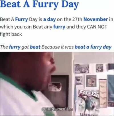 Beat a furry day