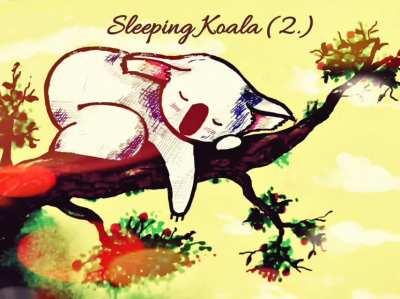 Sleeping Koala: 2