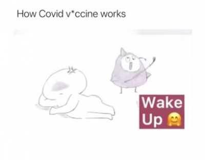 How the COVID vaccine works