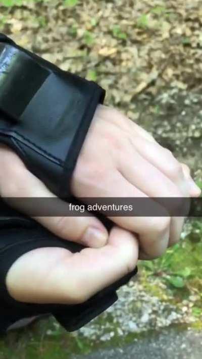 frog adventures