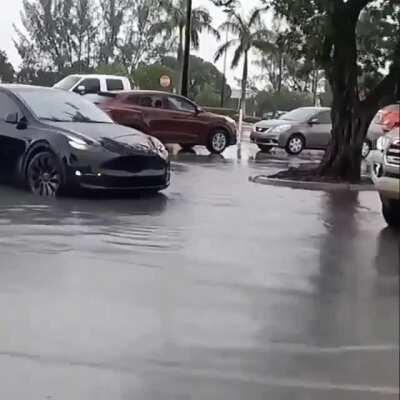 Summoning a tesla in a flooded area