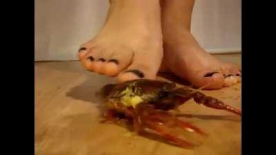 Angelica barefoot lobster🥰