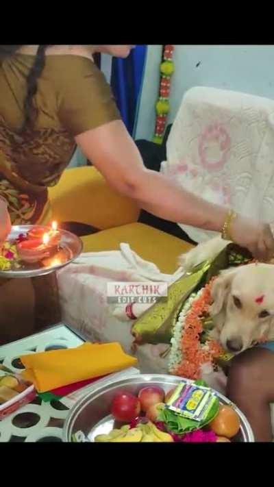 A family in South India organised a baby shower for their dog