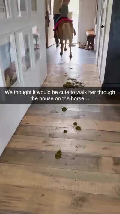 yeah, let's take the horse inside our house