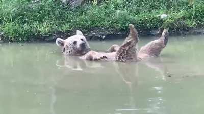 Sweet Sonya taking a satisfying soak in serenity at the Orphaned Wildlife Center.